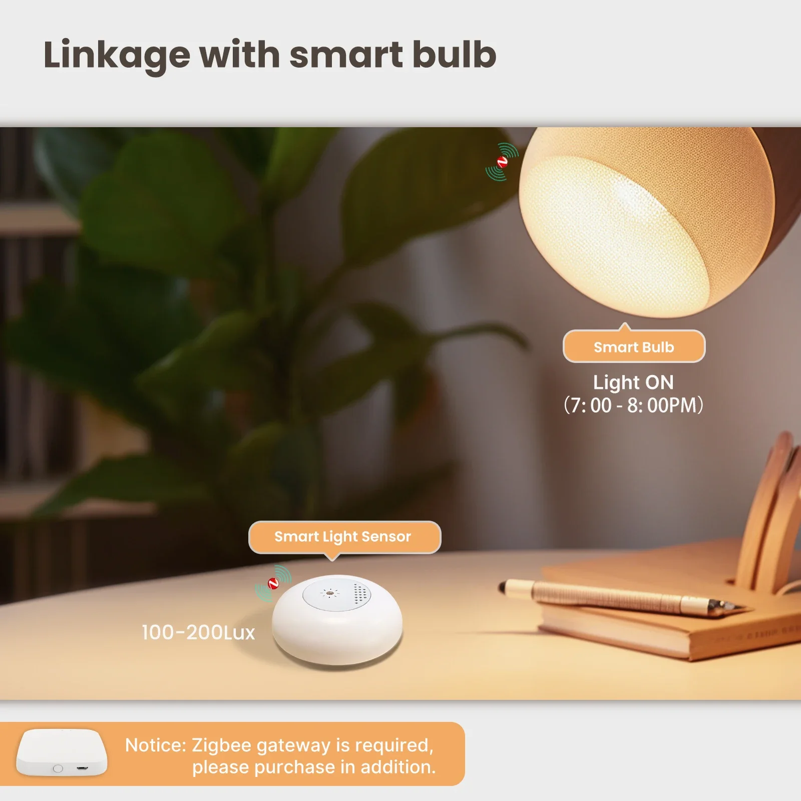 MOES Tuya Zigbee Sensor lampu  - Home Automation Technology ulasan dan harga